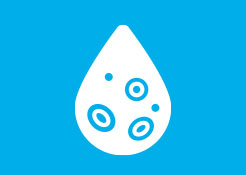 Infezione dei tessuti molli